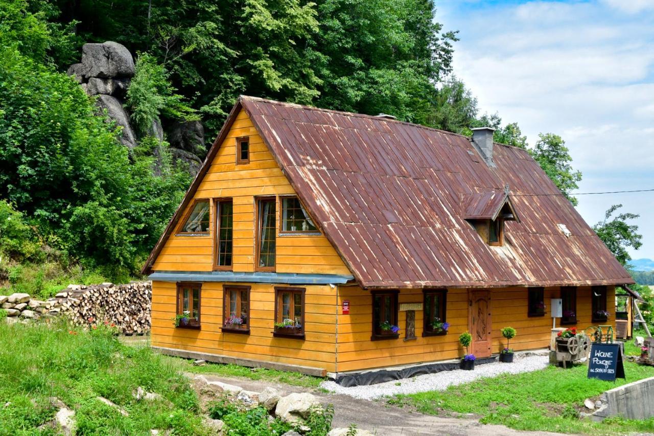 Wilcza Gajowka Villa Sosnówka Exterior foto